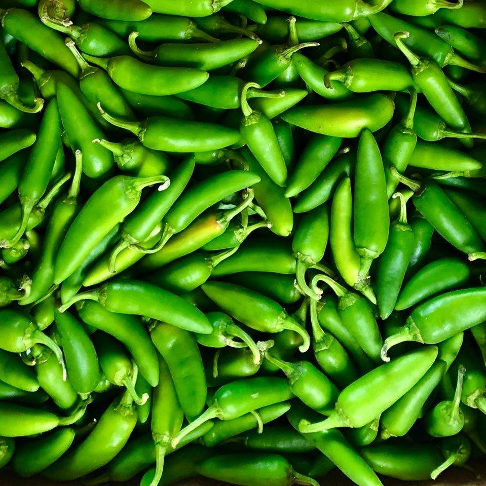 Fresh Green Jalapeno Chilli | 250g - 500g - 1kg | Chilli Mash Company - Chilli Mash Co.