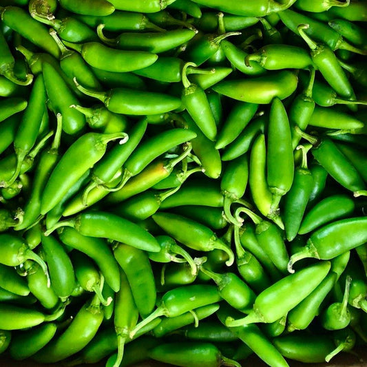 Fresh Green Jalapeno Chilli | 250g - 500g - 1kg | Chilli Mash Company - Chilli Mash Co.