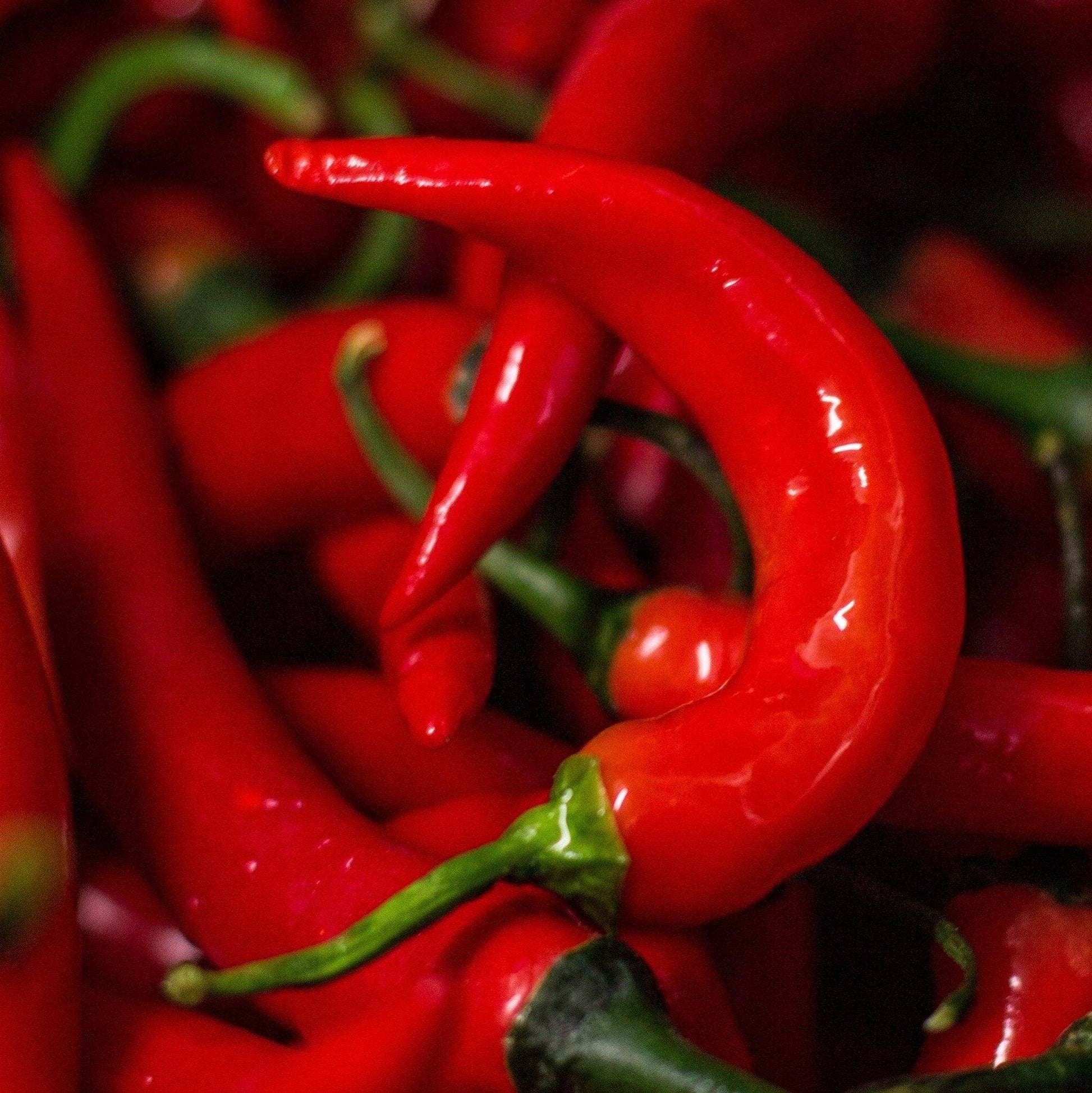 Fresh Red Fireflame Chilli | 250g 500g or 1kg | Chilli Mash Co. - Chilli Mash Co.