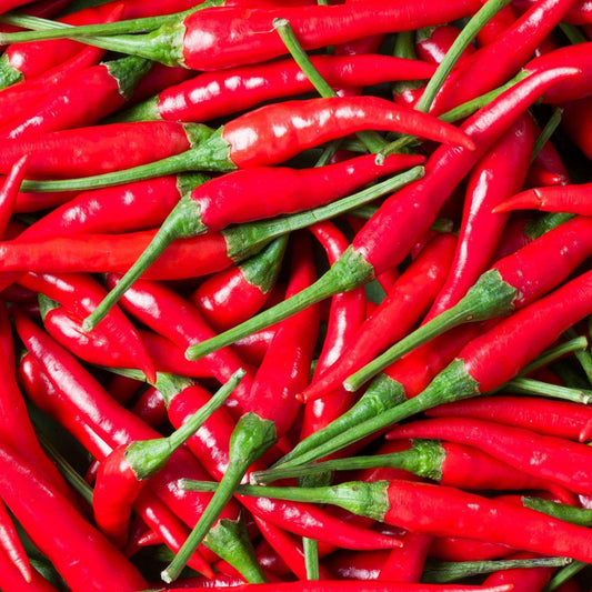 Fresh Red Bird's Eye Chilli | 1kg | Chilli Mash Company - Chilli Mash Co.