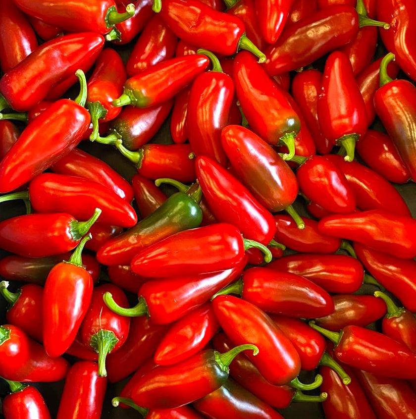 Fresh Red Jalapeno Chilli | 1kg | Chilli Mash Company | Certified Organic - Chilli Mash Co.