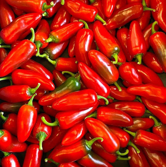 Fresh Red Jalapeno Chilli | 1kg | Chilli Mash Company | Certified Organic - Chilli Mash Co.