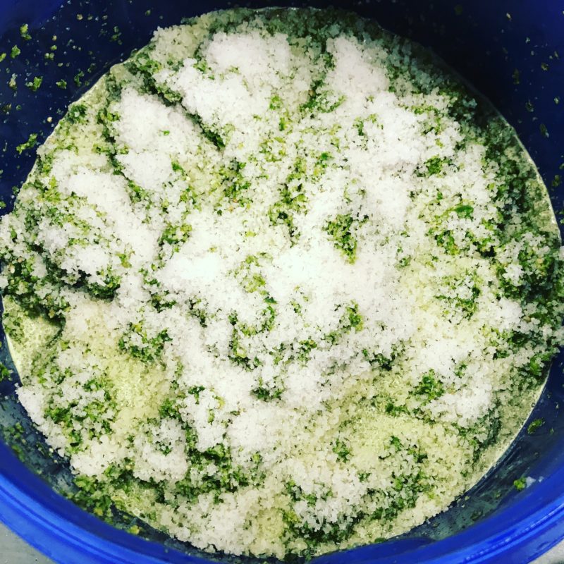 Salted surface of a green chilli mash in barrel