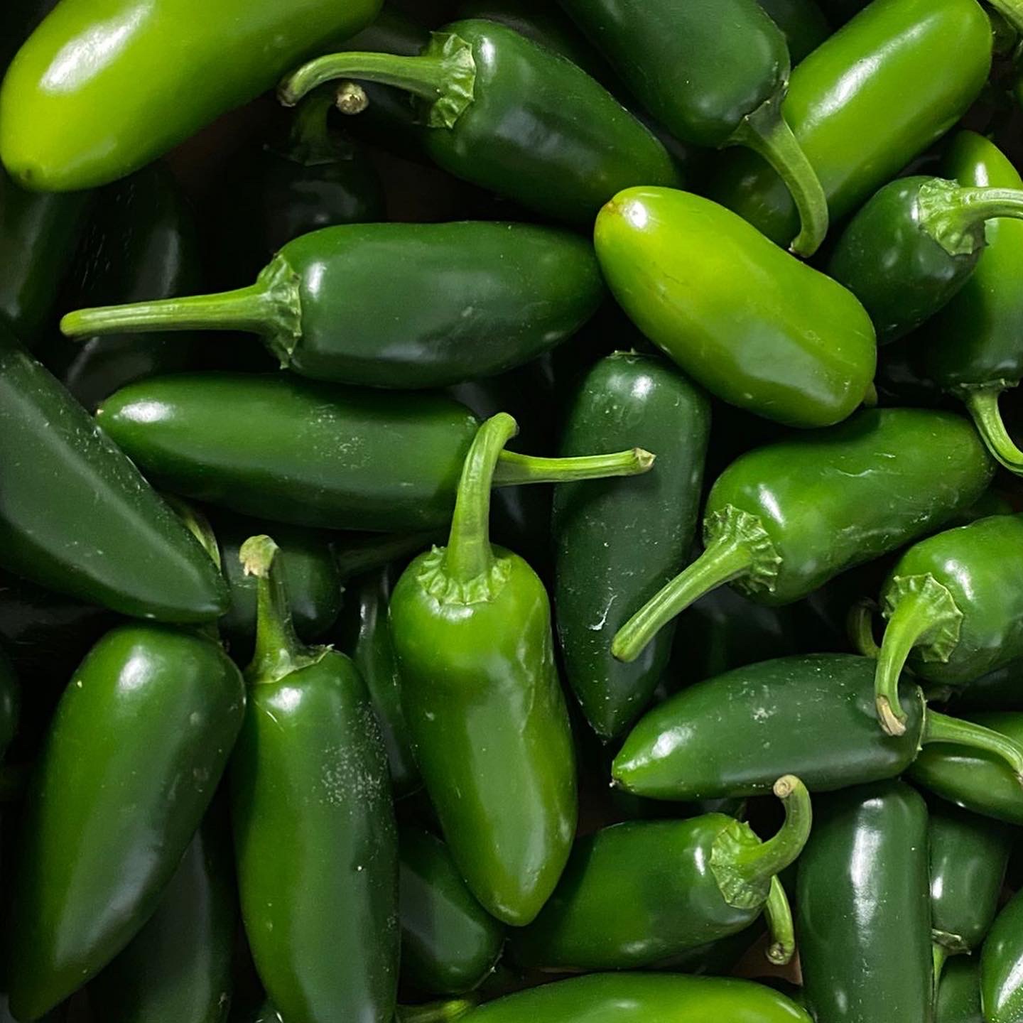 Green Jalapeno Chillies - Chilli Mash Company