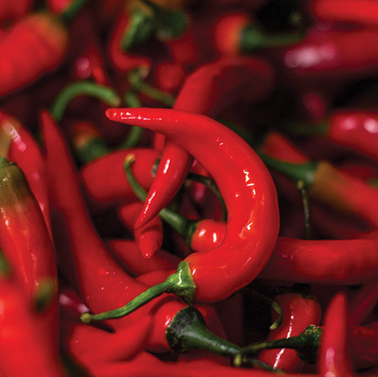 Chilli Mash Company grows the awesome Fireflame Chilli Pepper - a cayenne variety