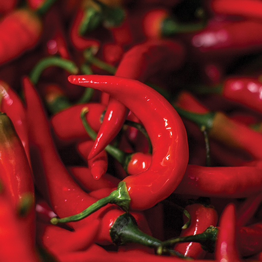 Fireflame Chillies - Chilli Mash Company